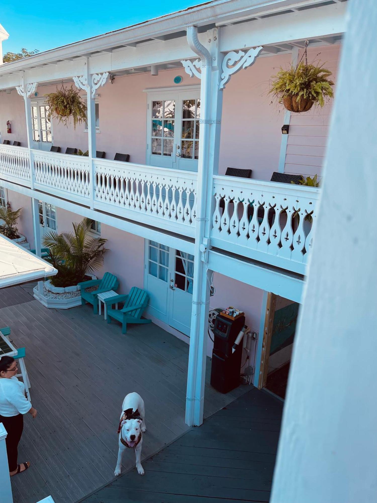 The Palms Hotel 3*