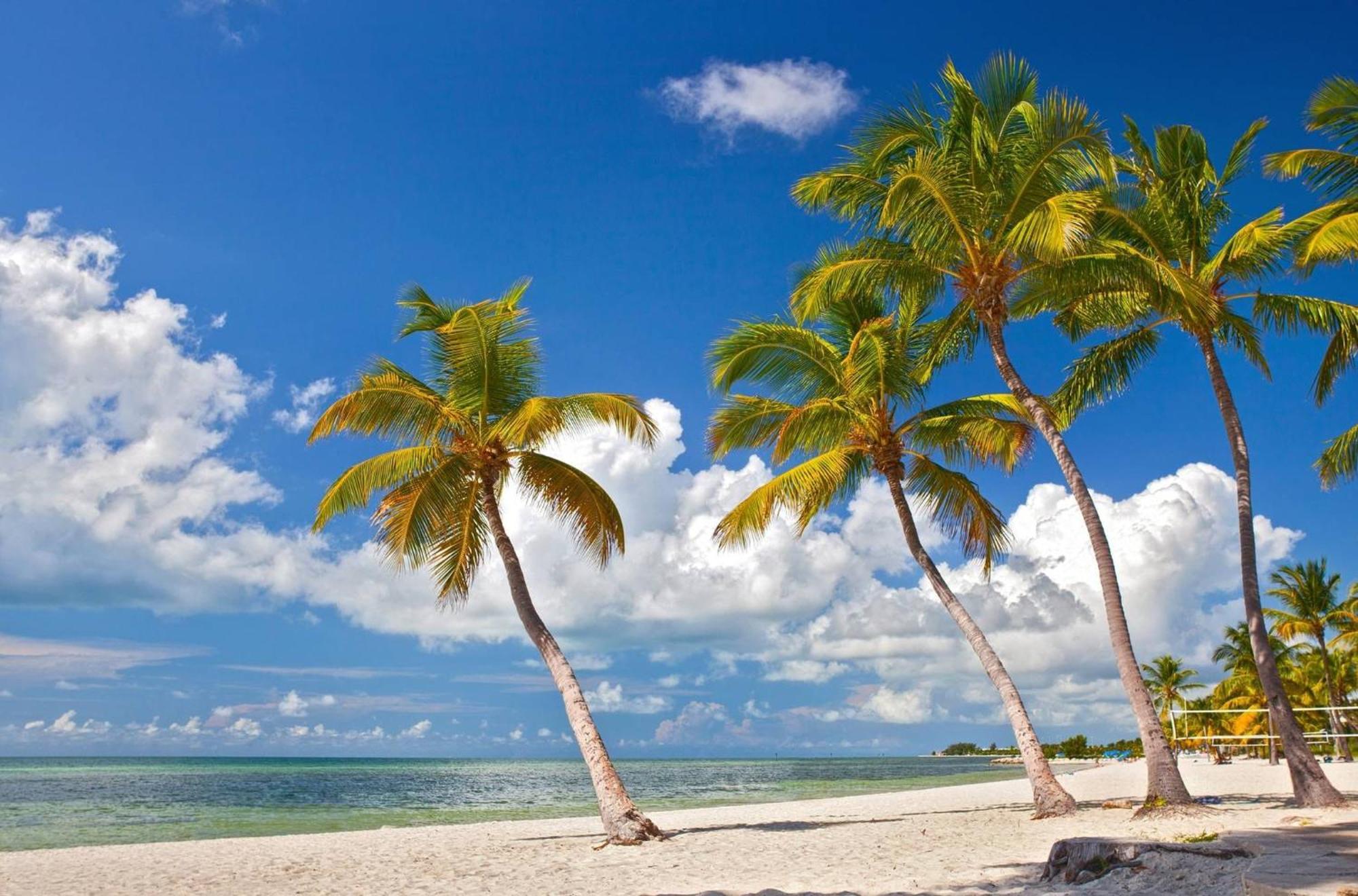 Tranquility By Avantstay Close To Duval St W Bbq Shared Pool Key West