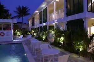Almond Tree - Adults Only