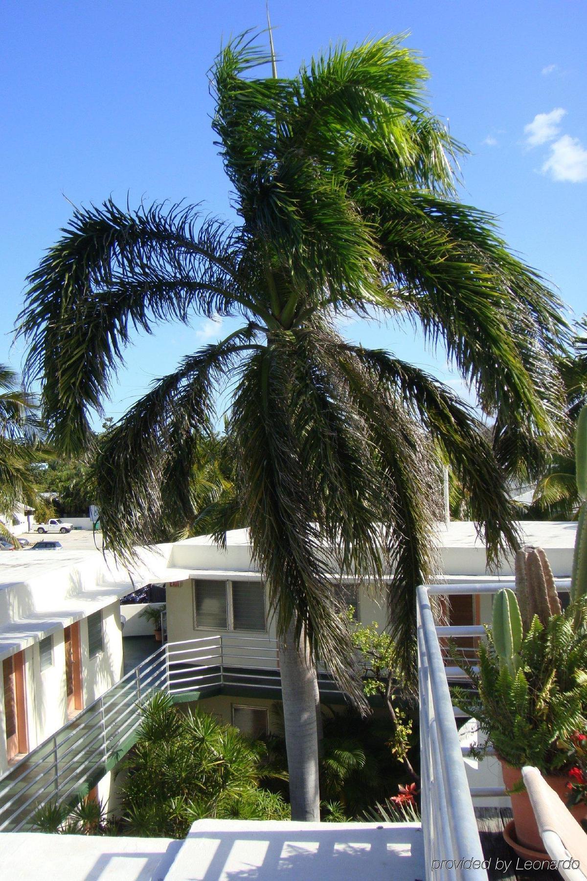 El Patio Key West