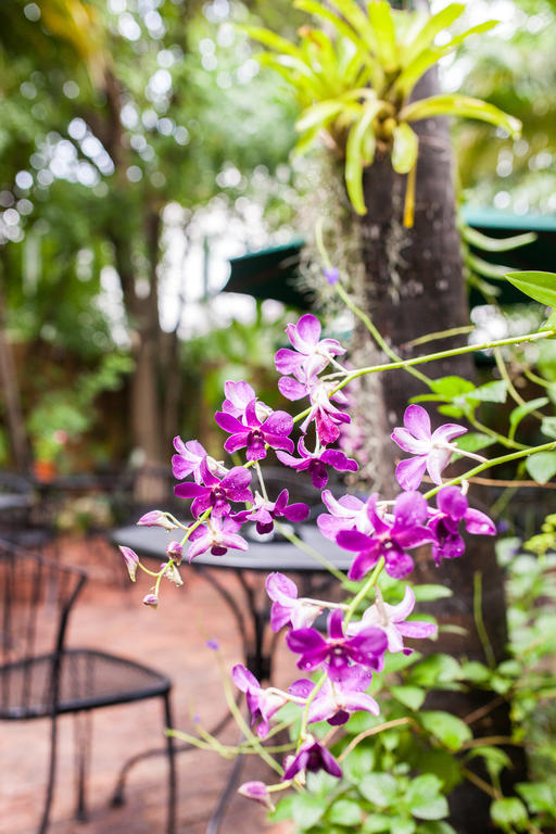 Bed & Breakfast Old Town Manor 3*