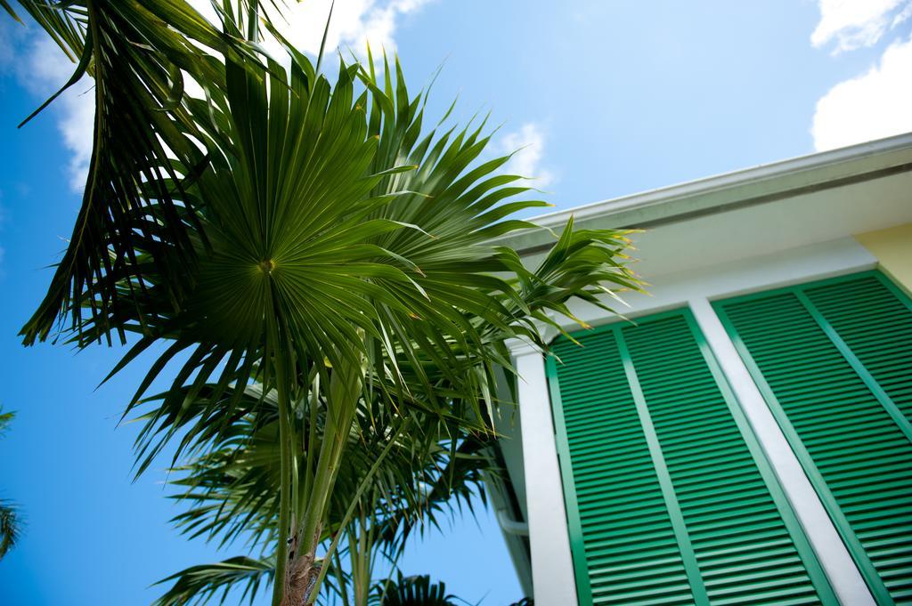 Almond Tree - Adults Only 3*