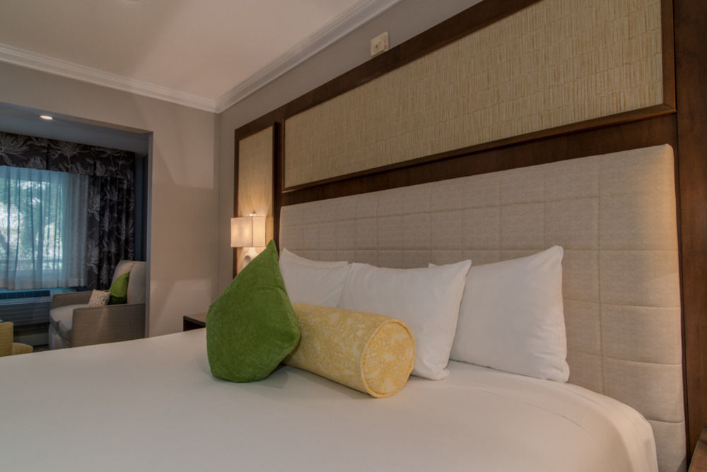 Almond Tree - Adults Only Key West