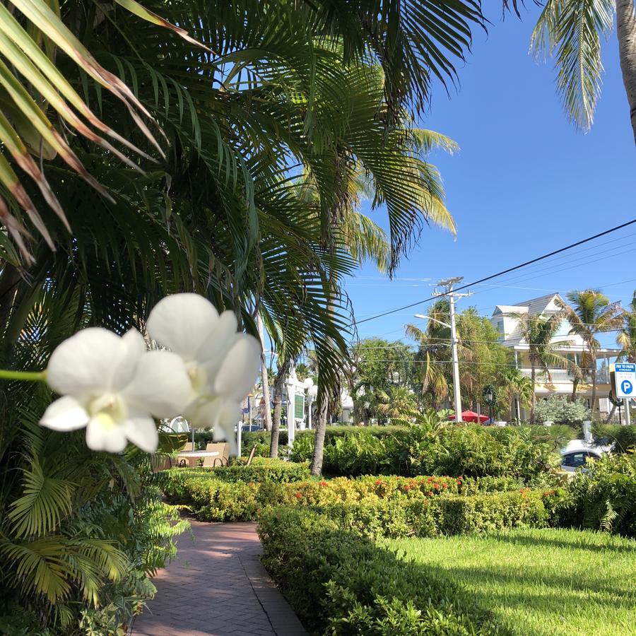 Southernmost Point & Garden Bar Bed & Breakfast Key West