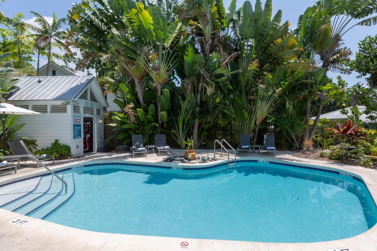 Inn Paradise - Adult Exclusive
